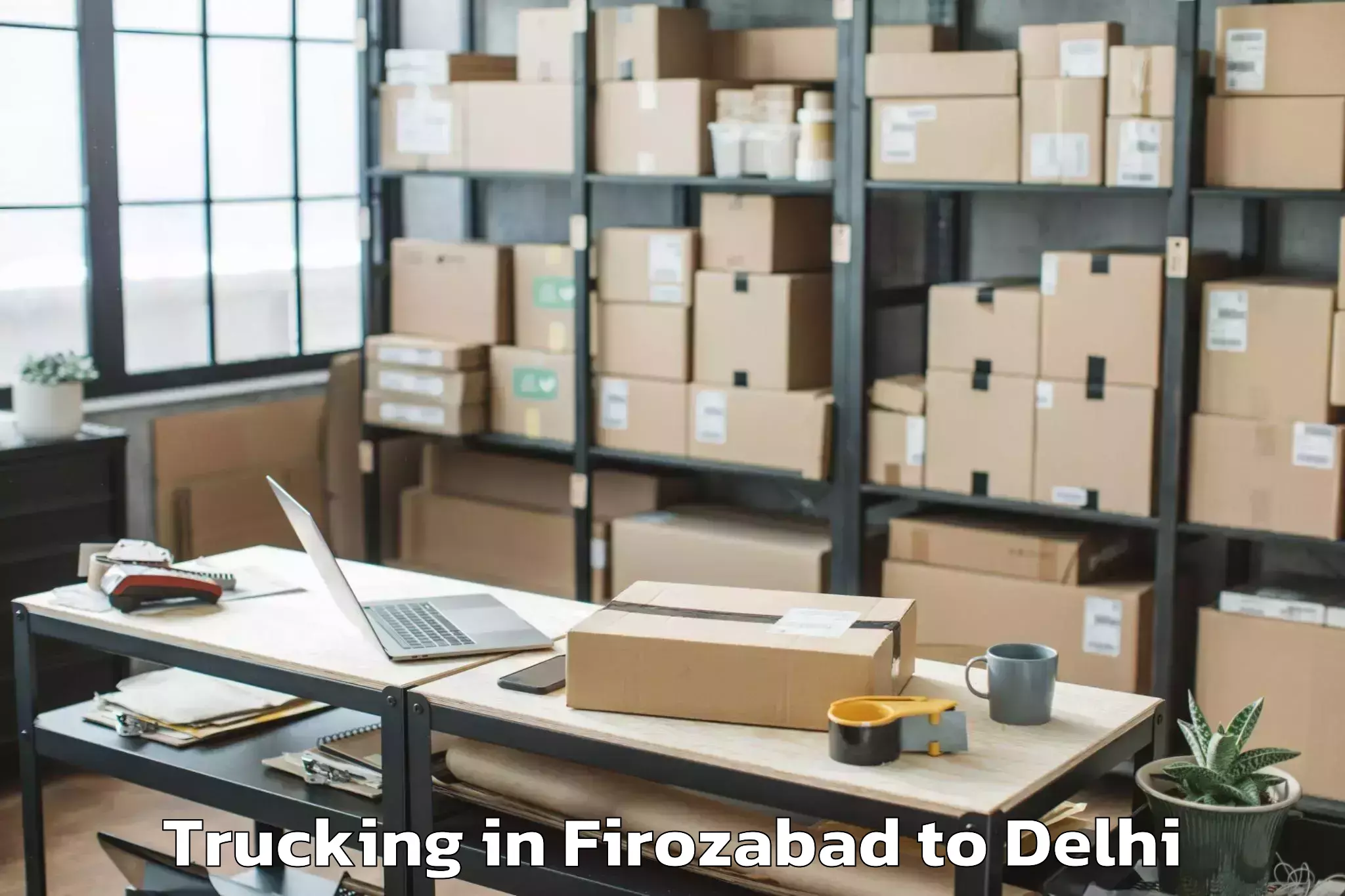 Top Firozabad to City Centre Mall Dwarka Trucking Available